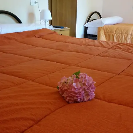 ホテル Bredina 3*