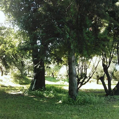 Bredina